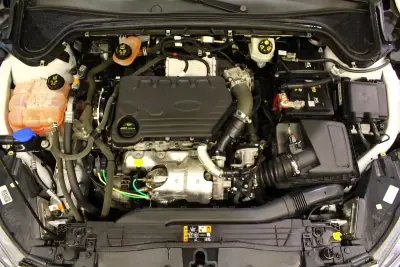 Ford Focus SW 2019 - 13900 EUR, 160000 km - AUTO.MOTO.pt - 160000km - foto 27 de 32