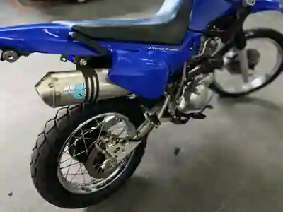 Yamaha Ténéré 700 2004 - 5500 EUR, 16000 km - AUTO.MOTO.pt - 16000km - foto 2 de 18