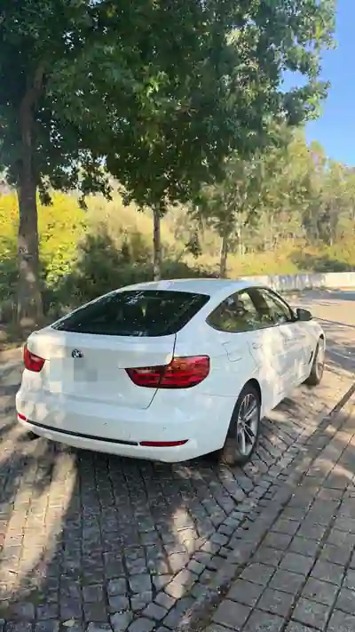 BMW 320 2014 - 11900 EUR, 285000 km - foto 3 de 9