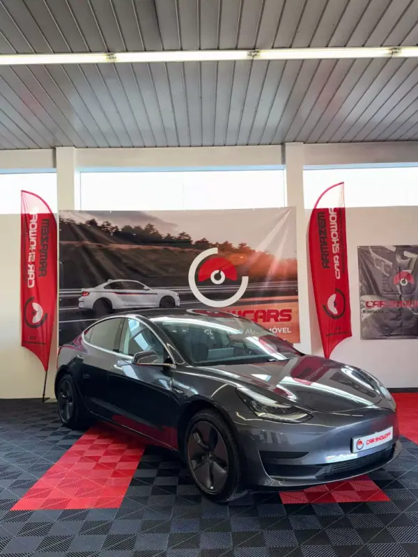 Tesla Model 3 other_Outro 2019 Elétrico