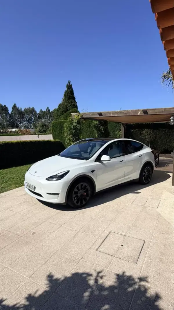 Tesla Model Y Long Range Tração Integral 2021 Electric