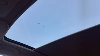 Nissan Qashqai 2017 - 15999 EUR, 139999 km - AUTO.MOTO.pt - 139999km - foto 31 de 34