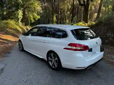 Peugeot 308 SW 2020 - 15500 EUR, 170000 km - AUTO.MOTO.pt - 170000km - foto 2 de 12