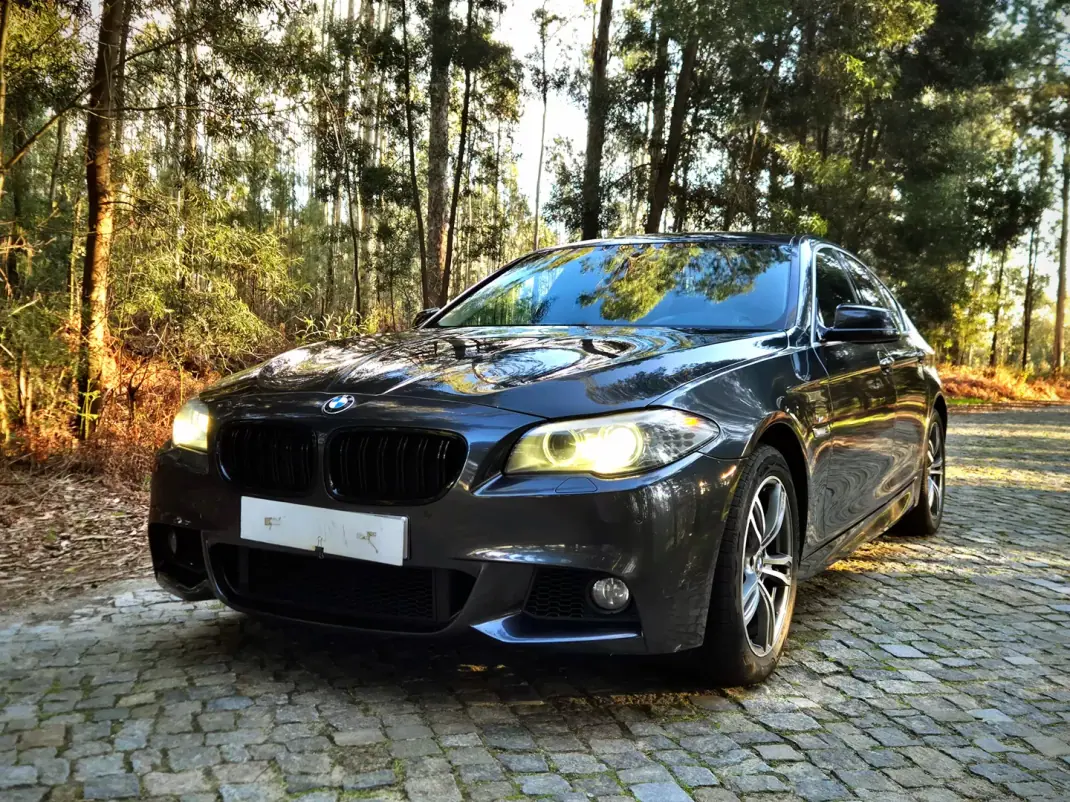 BMW 520 2010 - 18250 EUR, 234000 km - AUTO.MOTO.pt - 234000km - foto 3 de 17