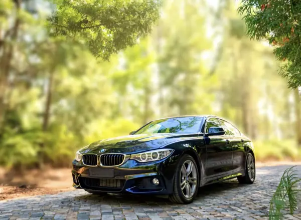 BMW 418 Gran Coupé 2015 — foto 2 de 16