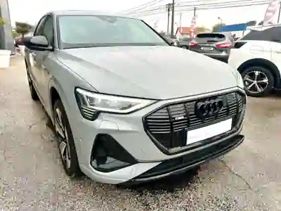Audi e-tron 2020 - 109000km
