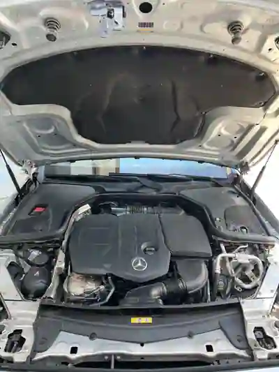 Mercedes-Benz E 220 2020 - 25900 EUR, 197500 km - AUTO.MOTO.pt - 197500km - foto 15 de 15