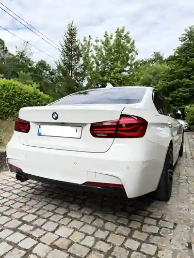 BMW 320 2019 - 27000 EUR, 123500 km - AUTO.MOTO.pt - 123500km - foto 2 de 14