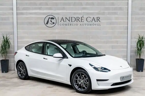 Tesla Model 3 2021 - 27950 EUR, 49088 km - AUTO.MOTO.pt - 49088km - foto 12 de 59