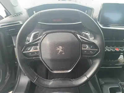 Peugeot 2008 2020 - 15900 EUR, 124990 km - AUTO.MOTO.pt - 124990km - foto 24 de 37