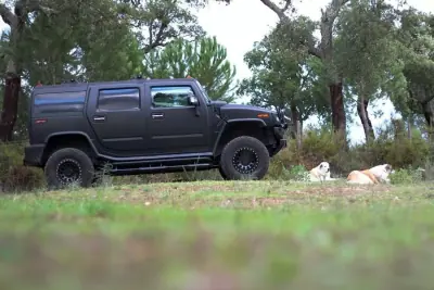 Hummer H2 2006 - 48800 EUR, 75250 km - AUTO.MOTO.pt - 75250km - foto 34 de 39
