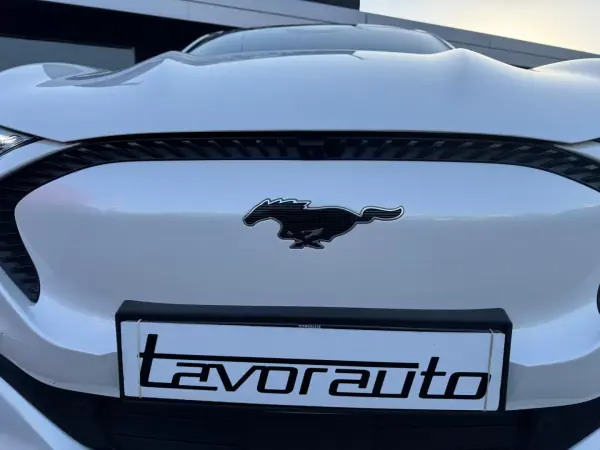 Ford Mustang Mach-E 2021 - 26900 EUR, 123000 km - AUTO.MOTO.pt - 123000km - foto 27 de 44