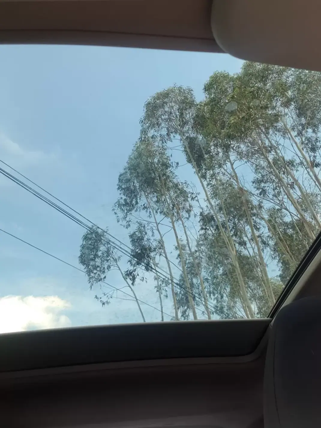 Nissan Qashqai 2015 - 14950 EUR, 104000 km - AUTO.MOTO.pt - 104000km - foto 13 de 13