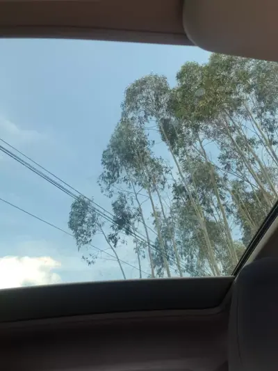 Nissan Qashqai 2015 - 14950 EUR, 104000 km - AUTO.MOTO.pt - 104000km - foto 13 de 13