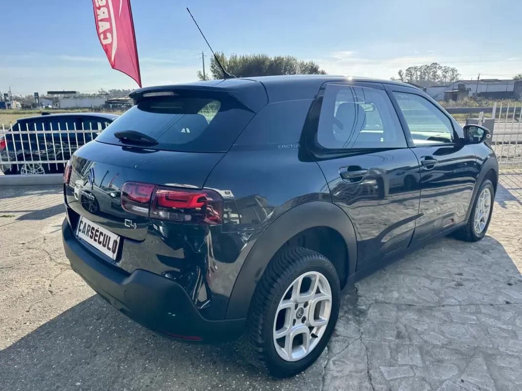 Citroën C4 Cactus 2018 - 13250 EUR, 108963 km - 108963km - foto 10 de 33