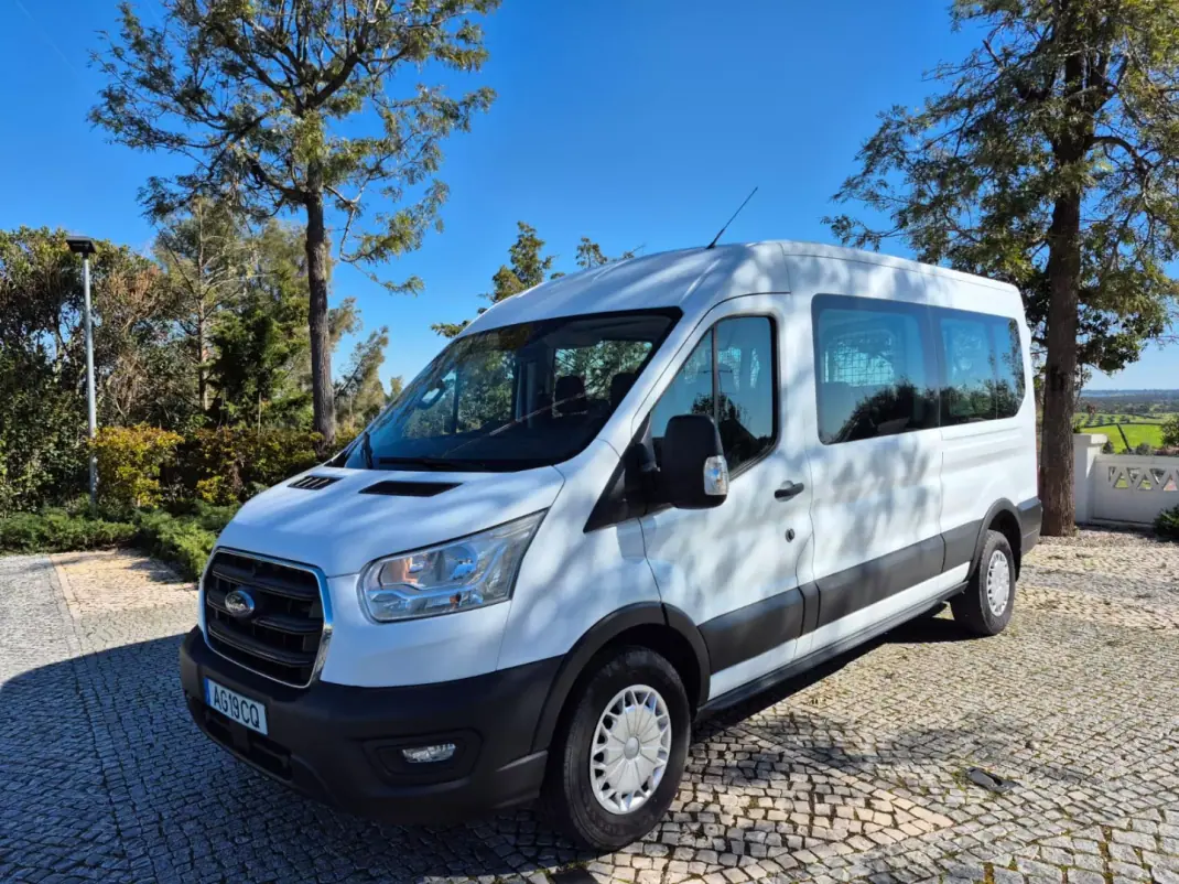 Ford Transit 2021 - 28900 EUR, 160001 km - AUTO.MOTO.pt - 160001km - foto 1 de 18