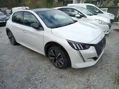 Peugeot 208 2020 - 14750 EUR, 43000 km - AUTO.MOTO.pt - 43000km - foto 1 de 6