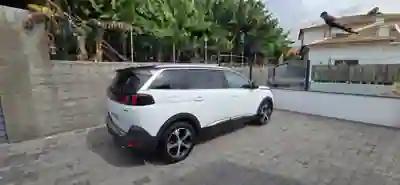 Peugeot 5008 2019 — photo 4 of 13