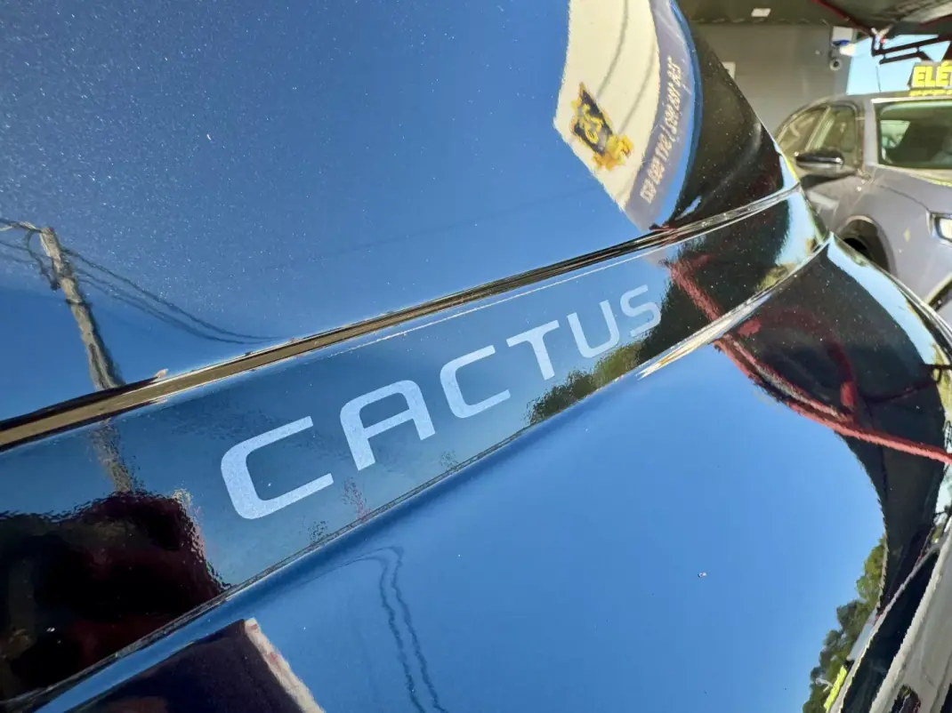Citroën C4 Cactus 2018 - 13250 EUR, 108963 km - 108963km - foto 12 de 33