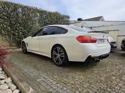 BMW 420 Gran Coupé 2014 - 20700 EUR, 115000 km - AUTO.MOTO.pt - 115000km - foto 2 de 5