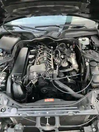 Mercedes-Benz E 220 2007 - 8950 EUR, 12000 km - AUTO.MOTO.pt - 12000km - foto 13 de 14