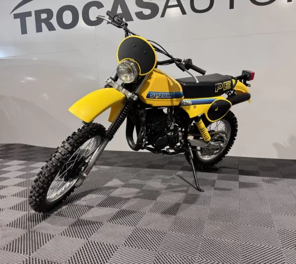 Suzuki Burgman 650 ABS Executive PE 250 1994 Petrol