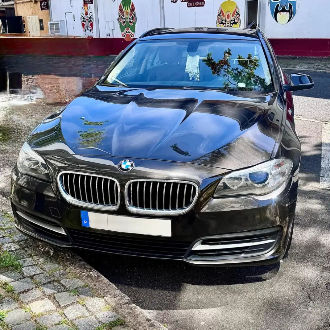 BMW 518 2014 - 13900 EUR, 219000 km - AUTO.MOTO.pt - 219000km - foto 20 de 20