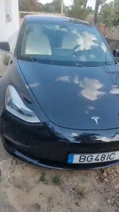 Tesla Model 3 2019 - 22600 EUR, 214980 km - 214980km - foto 10 de 14