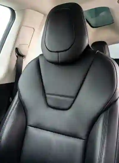 Tesla Model X 2017 - 32000 EUR, 153 km - 153km - foto 12 de 14