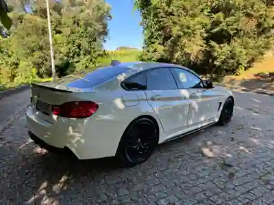 BMW 420 Gran Coupé 2015 — foto 3 de 7