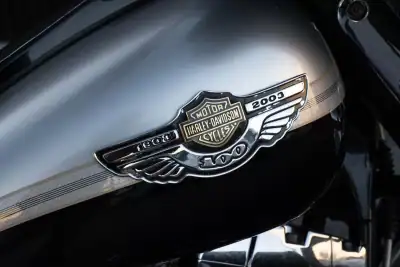 Harley-Davidson Electra Glide® Ultra Limited 2003 - 15800 EUR, 37000 km - AUTO.MOTO.pt - 37000km - foto 5 de 20