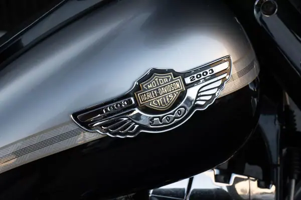 Harley-Davidson Electra Glide® Ultra Limited 2003 - 15800 EUR, 37000 km - AUTO.MOTO.pt - 37000km - foto 5 de 20