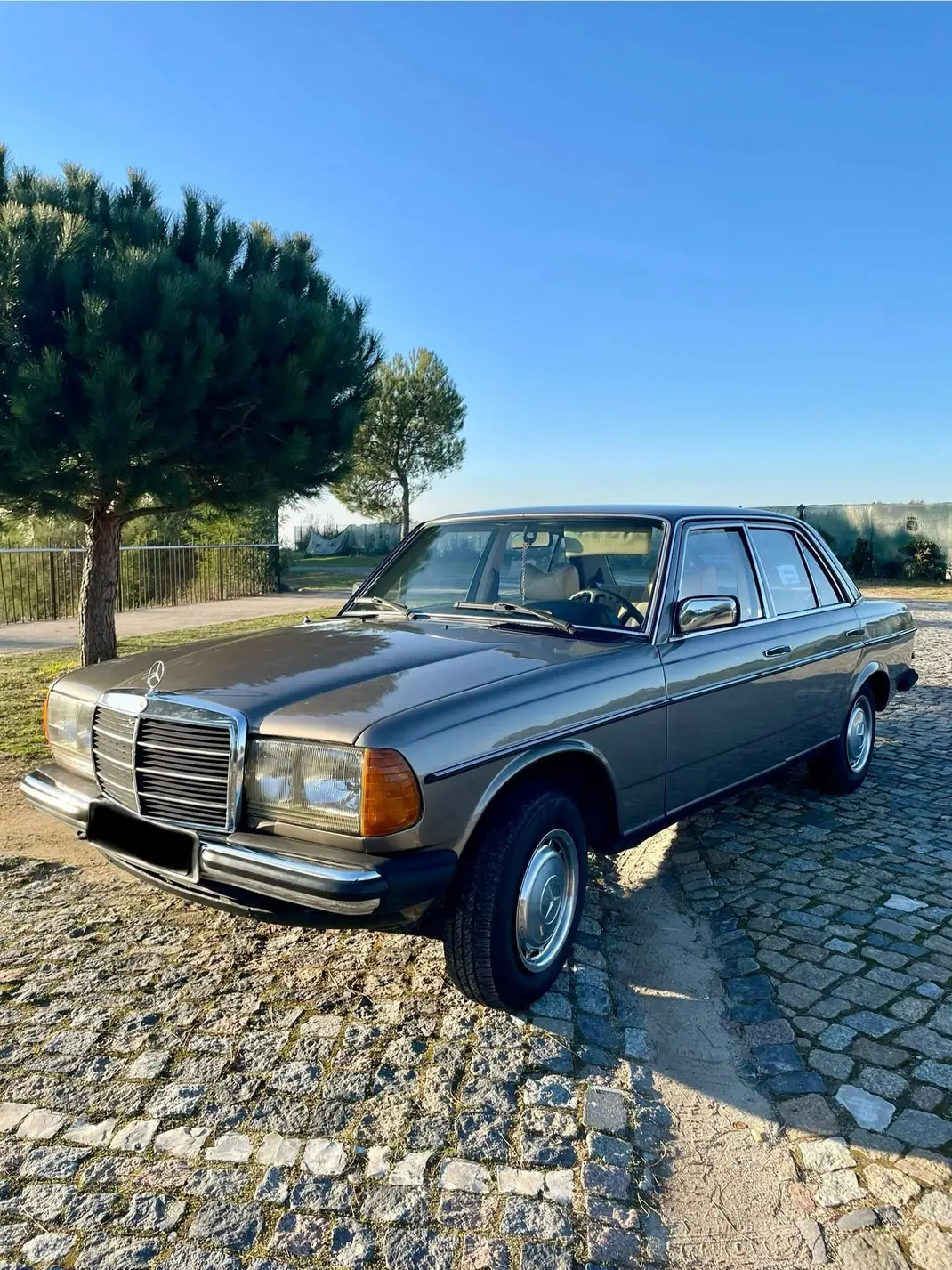 Mercedes-Benz 200 1970 - 8000 EUR, 264000 km - AUTO.MOTO.pt - 264000km - foto 1 de 10