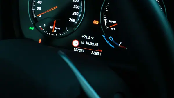BMW X2 16 d sDrive Advantage 2019 Diesel