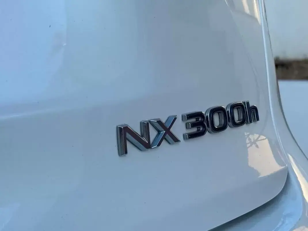 Lexus NX 300h 2014 - 22950 EUR, 66500 km - 66500km - foto 12 de 29