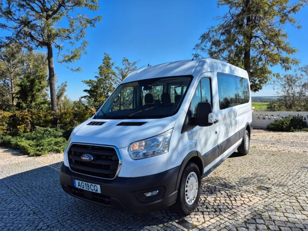 Ford Transit 2021 - 28900 EUR, 160001 km - AUTO.MOTO.pt - 160001km - foto 3 de 18
