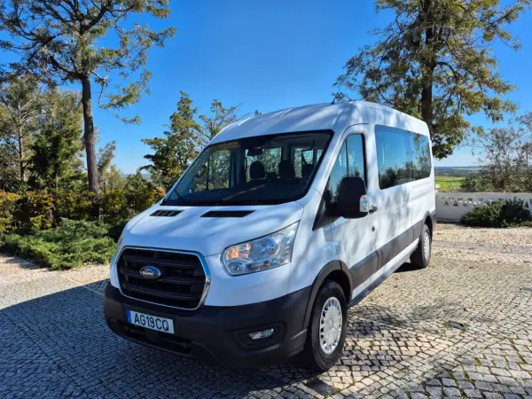 Ford Transit 2021 - 28900 EUR, 160001 km - AUTO.MOTO.pt - 160001km - foto 3 de 18