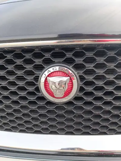 Jaguar XF 2017 - 19900 EUR, 173000 km - AUTO.MOTO.pt - 173000km - foto 12 de 19