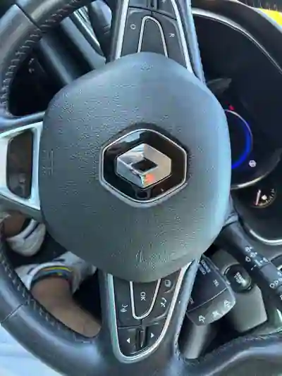 Renault Mégane Sport Tourer 2019 - 9500 EUR, 239123 km - 239123km - foto 8 de 15