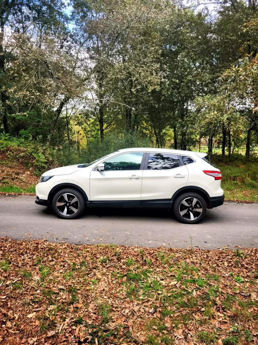 Nissan Qashqai 2016 - 15990 EUR, 153000 km - AUTO.MOTO.pt - 153000km - foto 8 de 24