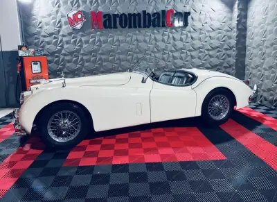 Jaguar XK140 1954 - 134990 EUR, 6261 km - AUTO.MOTO.pt - 6261km - foto 5 de 38