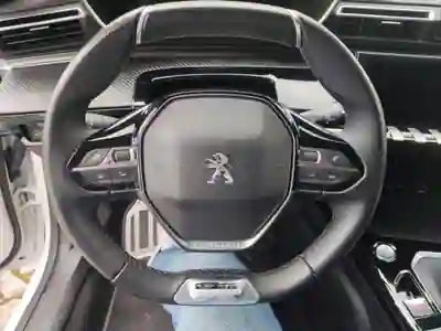 Peugeot 508 SW 2019 - 16750 EUR, 65000 km - AUTO.MOTO.pt - 65000km - foto 8 de 10