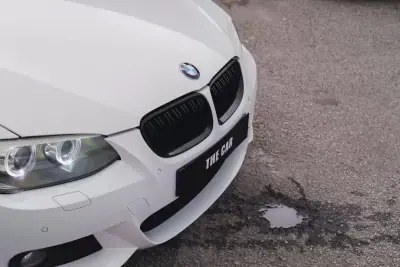 BMW 320 2016 - 18900 EUR, 230000 km - AUTO.MOTO.pt - 230000km - foto 8 de 28