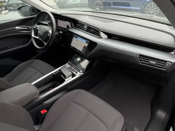 Audi e-tron 2020 - 30500 EUR, 90120 km - AUTO.MOTO.pt - 90120km - foto 12 de 15
