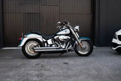 Harley-Davidson Softail® Fat Boy® 2004 - 13500 EUR, 77000 km - AUTO.MOTO.pt - 77000km - foto 13 de 14