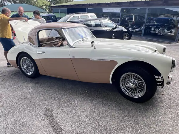 Austin Healey 3000 1960