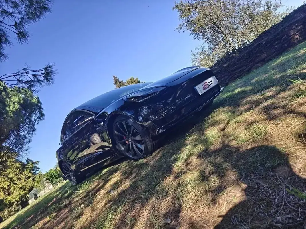 Tesla Model 3 2019