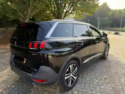 Peugeot 5008 2018 - 17500 EUR, 250000 km - 250000km - foto 3 de 10