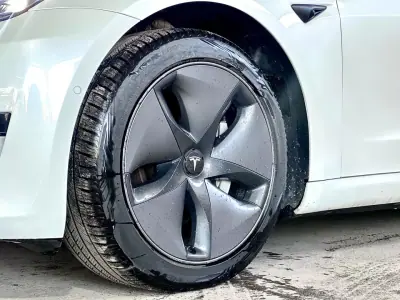 Tesla Model 3 2019 — photo 2 of 24