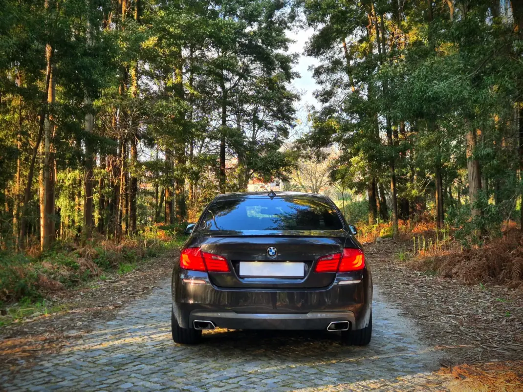BMW 520 2010 - 18250 EUR, 234000 km - AUTO.MOTO.pt - 234000km - foto 11 de 17